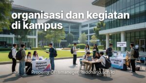 faq-organisasi-kampus-mitos-fakta